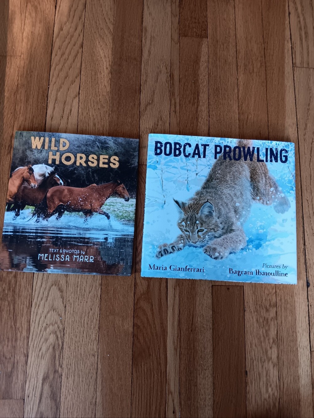Hardcover Children's Books